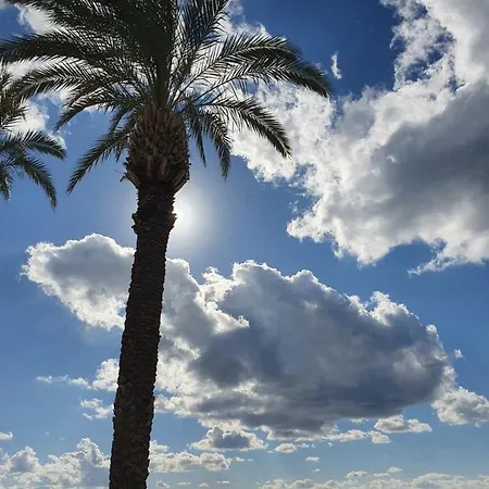 Cyprusmylove *